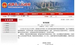 河南学校爆料新闻事件,揭开校园安全与教育乱象的真相